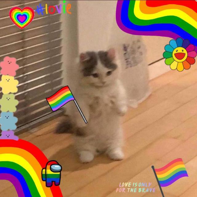 •°✯ℭ𝔩𝔬𝔰𝔢 𝔉𝔯𝔦𝔢𝔫𝔡𝔰✯°• - Grupos WhatsApp no SeuGrupo