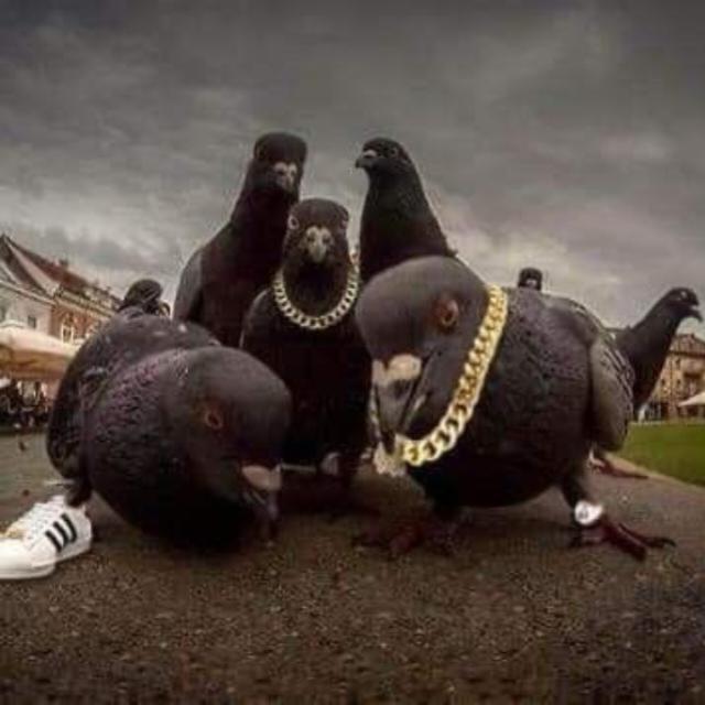 𝑬𝒏𝒕𝒓𝒆 𝒓𝒊𝒔𝒐𝒔 𝒆 𝒕𝒓𝒆𝒕𝒂𝒔 - Grupos WhatsApp no SeuGrupo