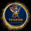 TRÍADE GESTÃO DO SER | Terapia e Gestão da vida (@trigeser.oficial) - grupo de Instagram no SeuGrupo