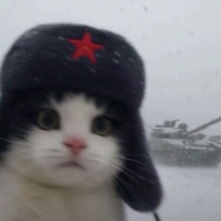 🔥Ganhos online - Grupos Telegram no SeuGrupo